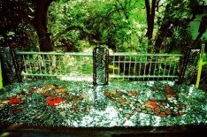 Stefanie Distefano's